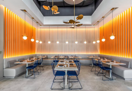 Belly Fish - Miami